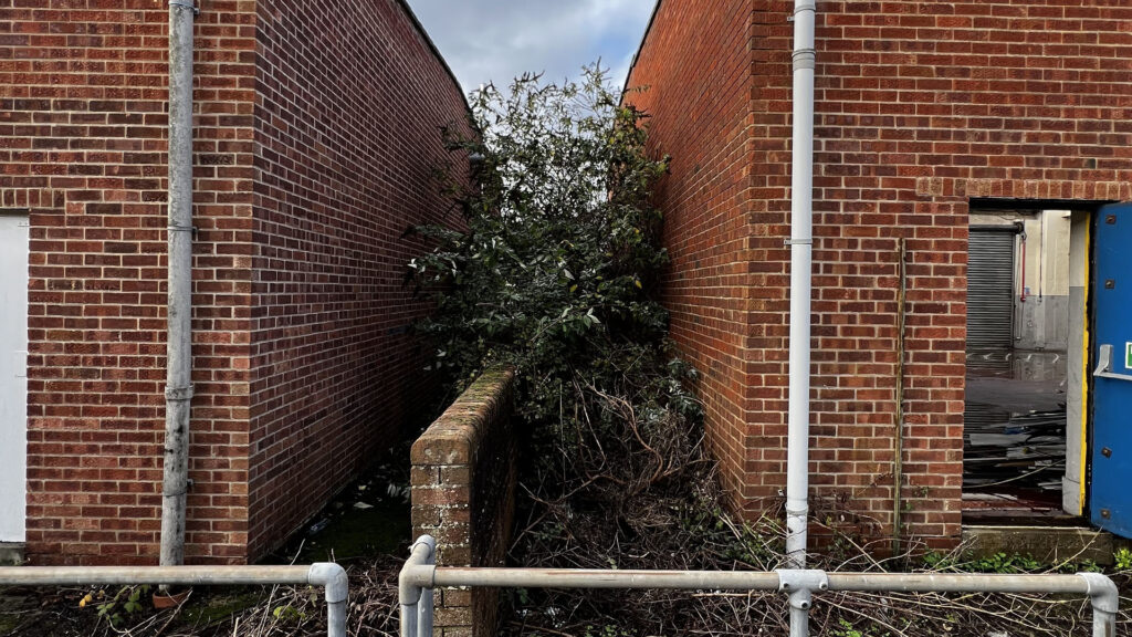 What Happens If You Ignore Party Wall Etiquette Swindon